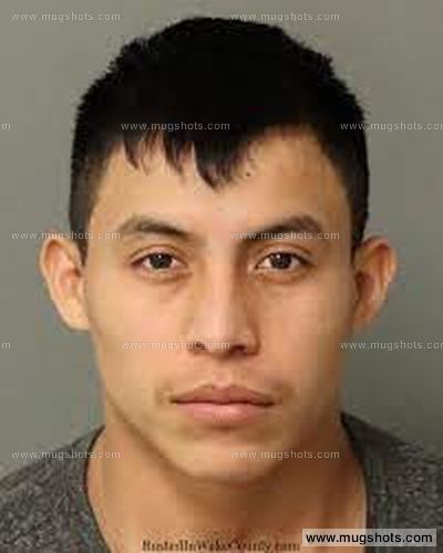 WILMER COJOC-MORAN mugshot